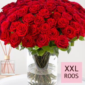 Rode rozen - XXL rozen 65 cm - 10 t/m 99 rozen - Red Naomi