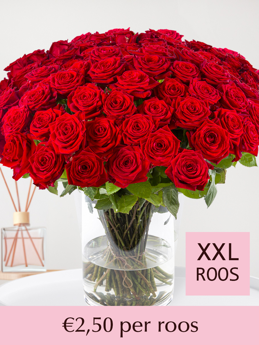Rode rozen - XXL rozen 65 cm - 10 t/m 99 rozen - Red Naomi 1 Rode rozen - XXL rozen 65 cm - 10 t/m 99 rozen - Red Naomi