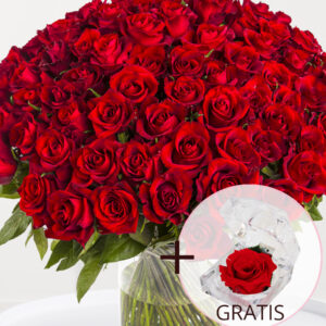 100 rode rozen - XL rozen - EverRed + Eeuwige roos voor Valentijnsdag