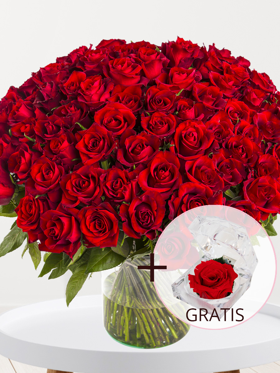 100 rode rozen - XL rozen - EverRed + Eeuwige roos voor Valentijnsdag 1 100 rode rozen - XL rozen - EverRed + Eeuwige roos voor Valentijnsdag
