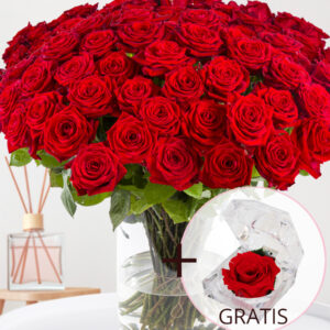 100 rode rozen - XL rozen - Red Naomi + Eeuwige roos voor Valentijnsdag