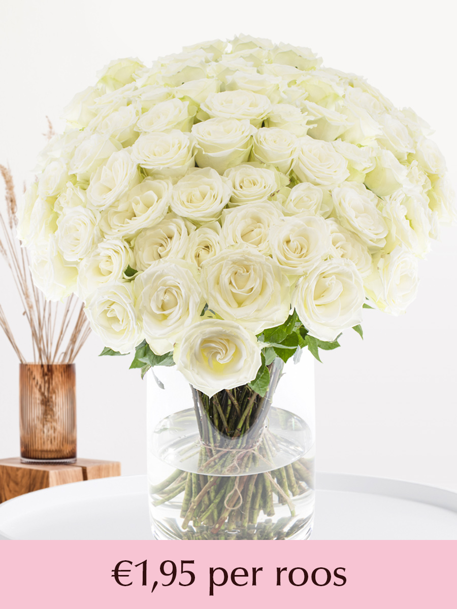 100 tot en met 499 witte rozen - XL rozen - Snowstorm 1 100 tot en met 499 witte rozen - XL rozen - Snowstorm