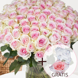 100 zachtroze rozen - XL rozen - Sweet Revival + eeuwige roos