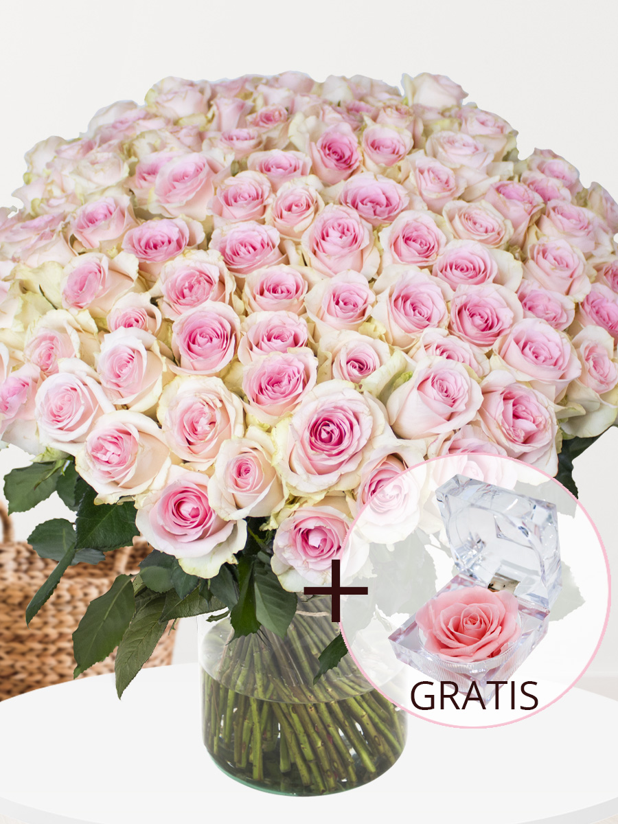 100 zachtroze rozen - XL rozen - Sweet Revival + eeuwige roos 1 100 zachtroze rozen - XL rozen - Sweet Revival + eeuwige roos