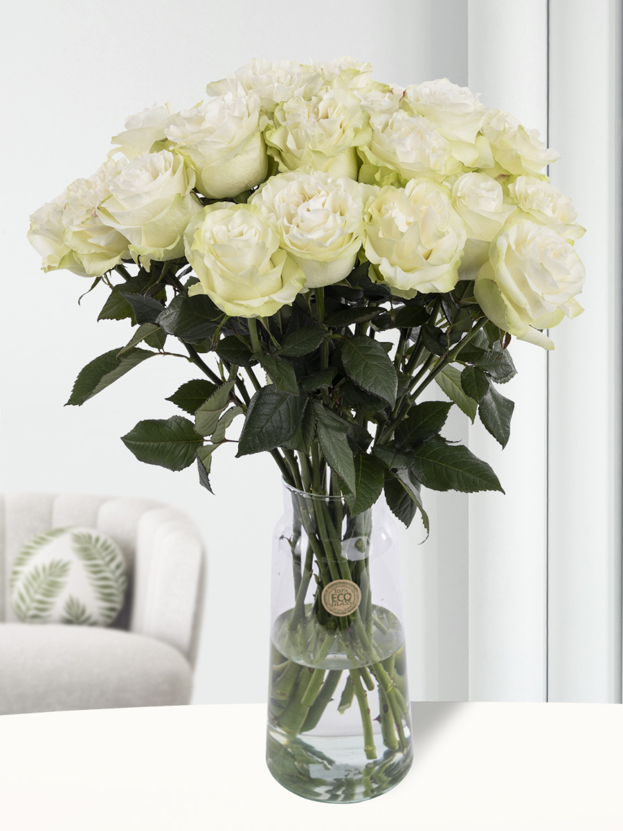 20 witte rozen uit Ecuador 1 20 witte rozen uit Ecuador
