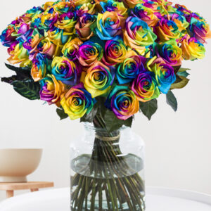 50 regenboog rozen - XL rozen