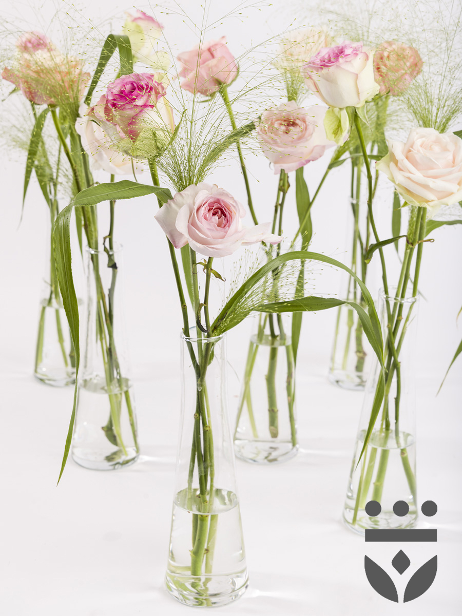 6 pastel plus tafelstukjes, inclusief vaasjes - Platinum | Hoog 1 6 pastel plus tafelstukjes, inclusief vaasjes - Platinum | Hoog