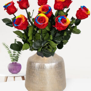 Regenboog long life rozen - Kies je aantal van 5 t/m 20