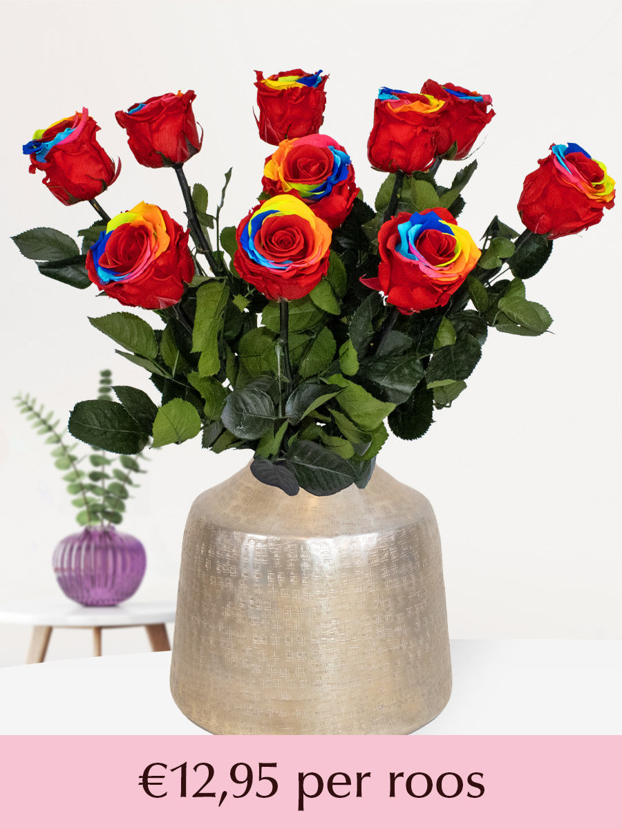 Regenboog long life rozen - Kies je aantal van 5 t/m 20 1 Regenboog long life rozen - Kies je aantal van 5 t/m 20