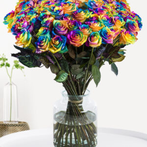 100 t/m 500 regenboog rozen - XL rozen