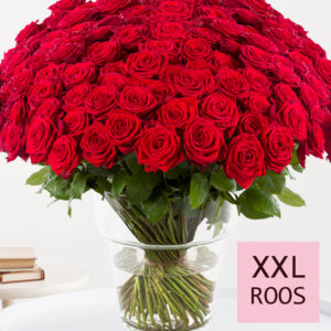 500 tot en met 1001 rode rozen - XXL rozen - Red Naomi