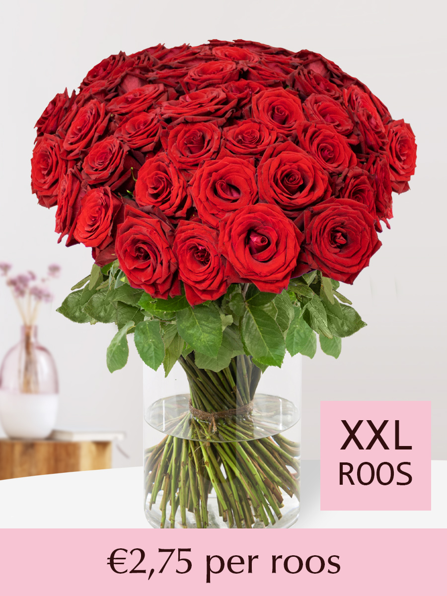 Rode rozen - XXL rozen 70 cm - 20 t/m 99 rozen - Red Bentley 1 Rode rozen - XXL rozen 70 cm - 20 t/m 99 rozen - Red Bentley