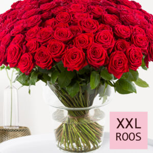 100 tot en met 499 rode rozen - Red Naomi - Valentijnsdag