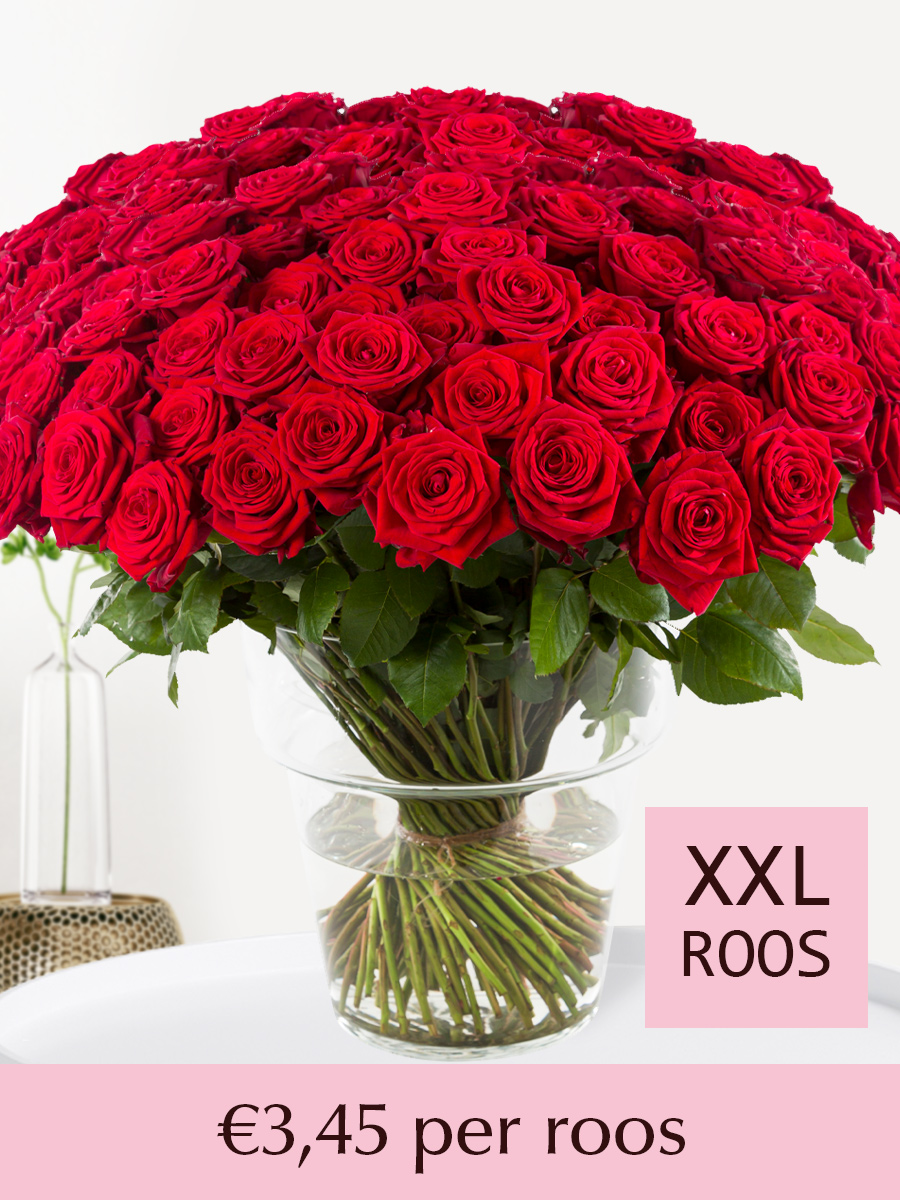 100 tot en met 499 rode rozen - Red Naomi - Valentijnsdag 1 100 tot en met 499 rode rozen - Red Naomi - Valentijnsdag