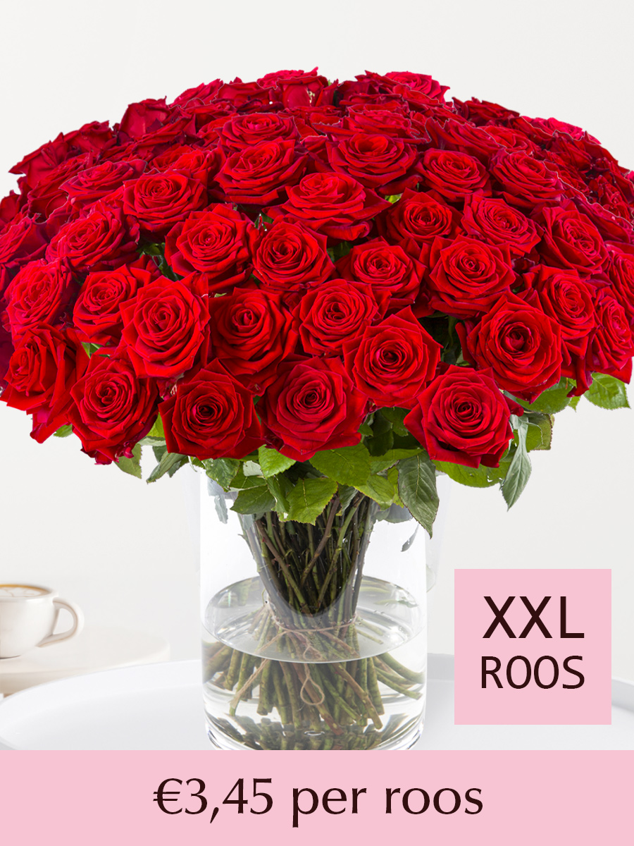 Rode rozen (Red Naomi) - Kies je aantal 10 t/m 99 - Valentijnsdag 1 Rode rozen (Red Naomi) - Kies je aantal 10 t/m 99 - Valentijnsdag