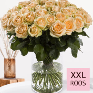 Zalmkleurige rozen - Kies je aantal - 10 t/m 99 rozen