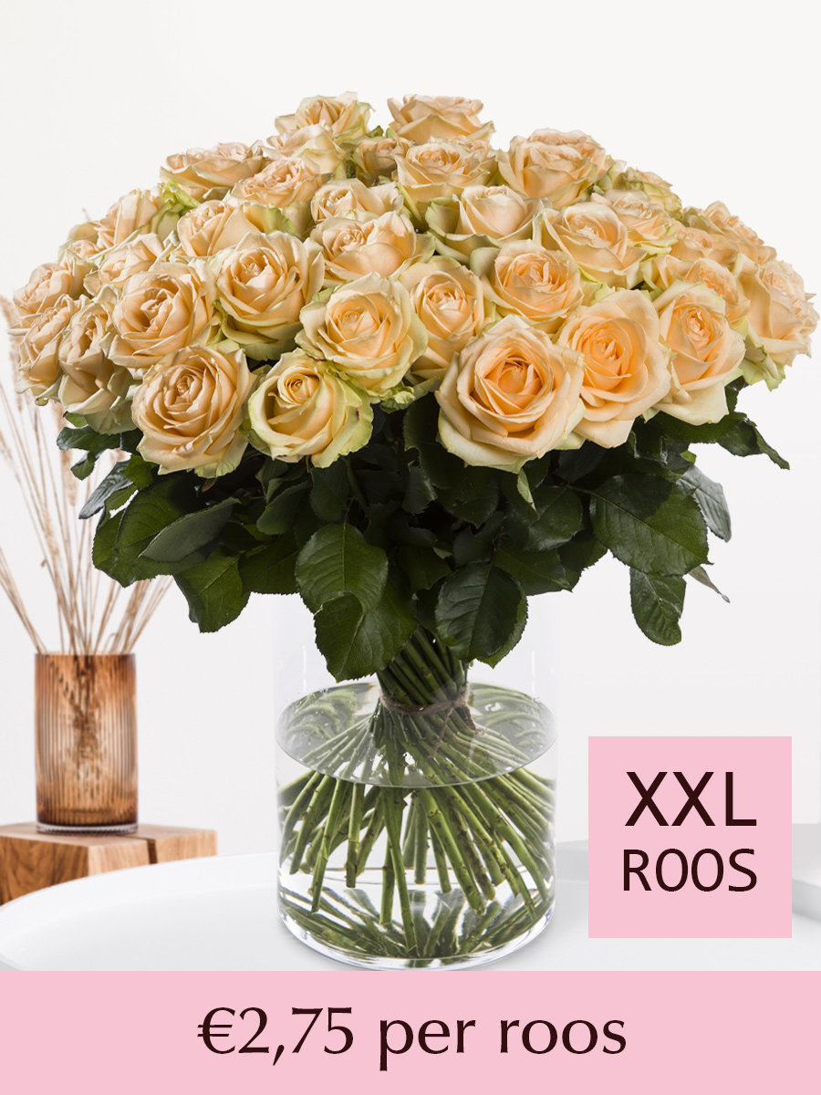 Zalmkleurige rozen - Kies je aantal - 10 t/m 99 rozen 1 Zalmkleurige rozen - Kies je aantal - 10 t/m 99 rozen