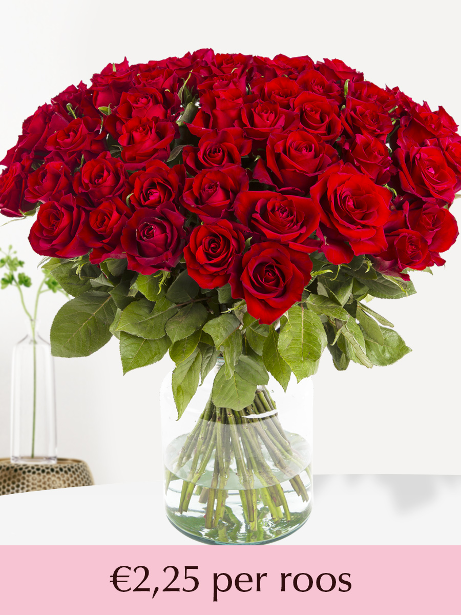 Rode rozen - XL rozen 60 cm - 10 t/m 99 rozen - EverRed 1 Rode rozen - XL rozen 60 cm - 10 t/m 99 rozen - EverRed