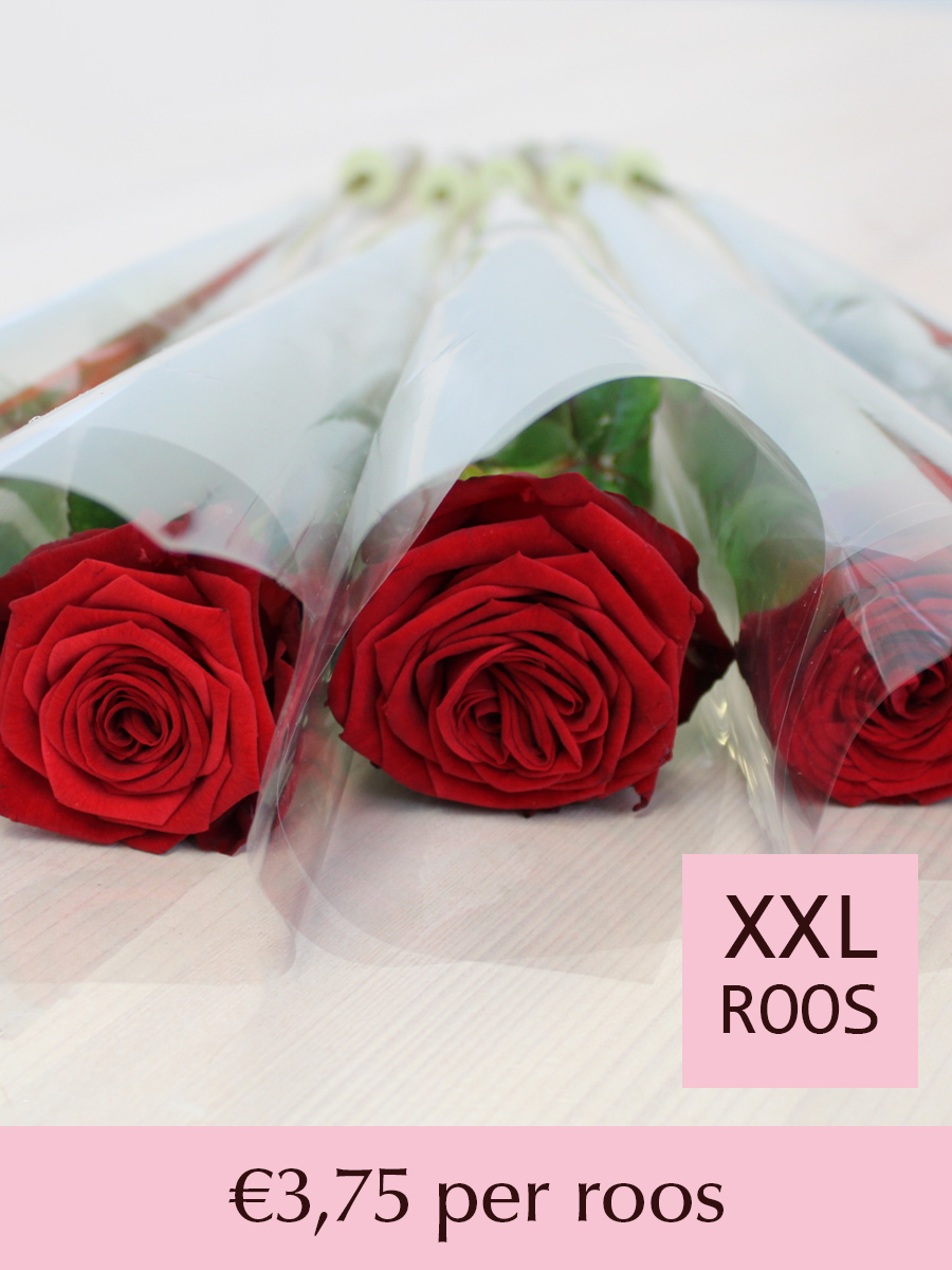 Rode rozen per stuk verpakt - Red Naomi - 10 t/m 99 stuks 1 Rode rozen per stuk verpakt - Red Naomi - 10 t/m 99 stuks