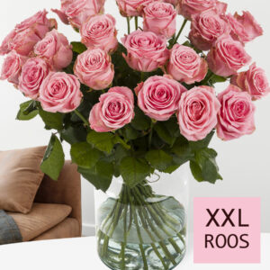 Roze rozen XXL - Kies je aantal (Sophia Loren) - 10 t/m 99 rozen