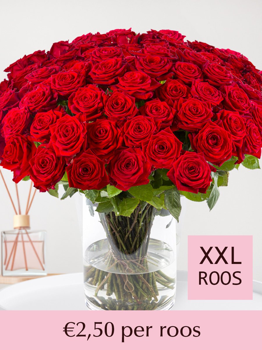 Rode rozen - XXL rozen 65 cm - 10 t/m 99 rozen - Red Naomi 1 Rode rozen - XXL rozen 65 cm - 10 t/m 99 rozen - Red Naomi