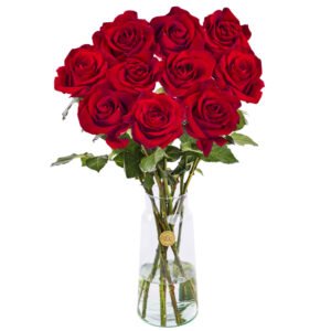 10 rode rozen - XL rozen - EverRed