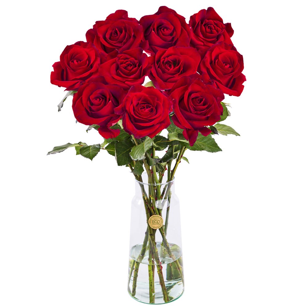 10 rode rozen - XL rozen - EverRed 1 10 rode rozen - XL rozen - EverRed