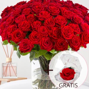 100 rode rozen - XL rozen - Red Naomi + Eeuwige roos voor Valentijnsdag