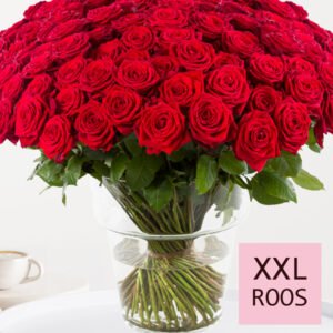100 tot en met 499 rode rozen - XXL rozen - Red Naomi