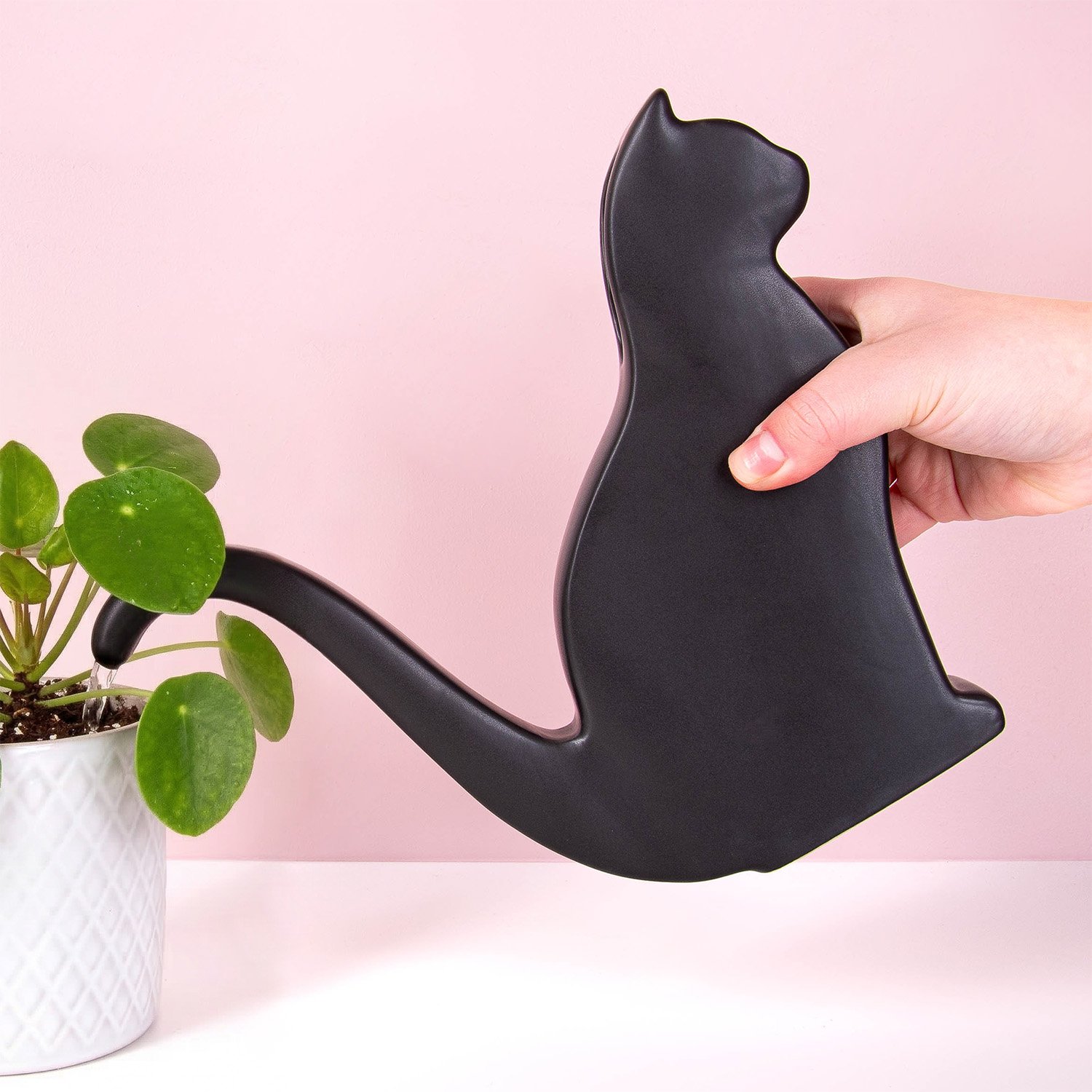 Zwarte kat gieter 1 Zwarte kat gieter
