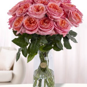 20 roze rozen uit Ecuador