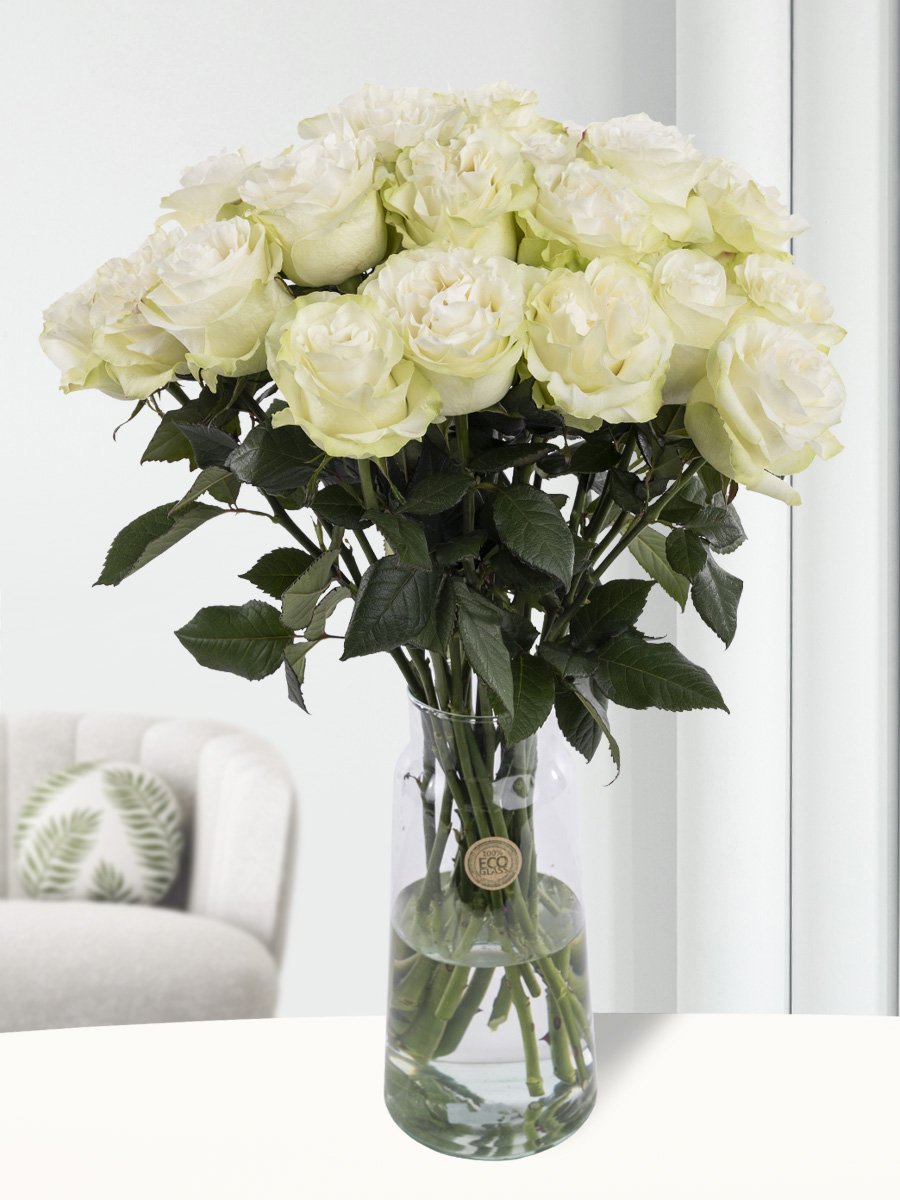20 witte rozen uit Ecuador 1 20 witte rozen uit Ecuador
