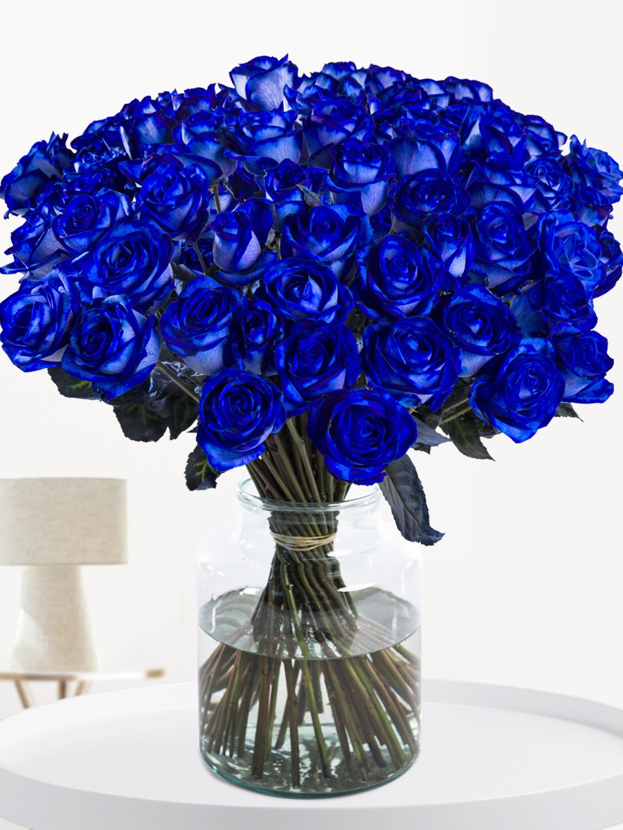50 blauwe rozen - XL rozen 1 50 blauwe rozen - XL rozen