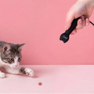 Kiko kattenlaser