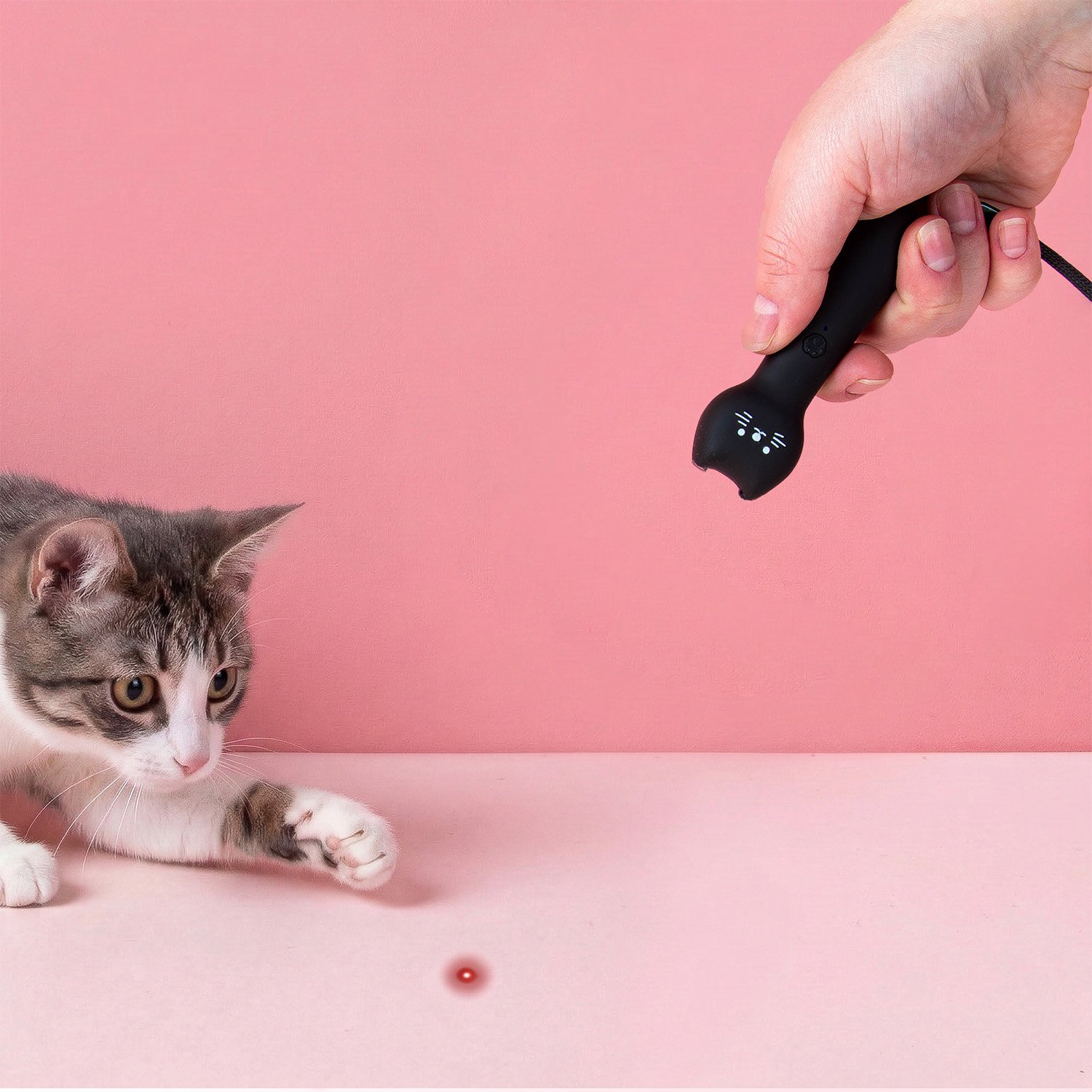 Kiko kattenlaser 1 Kiko kattenlaser