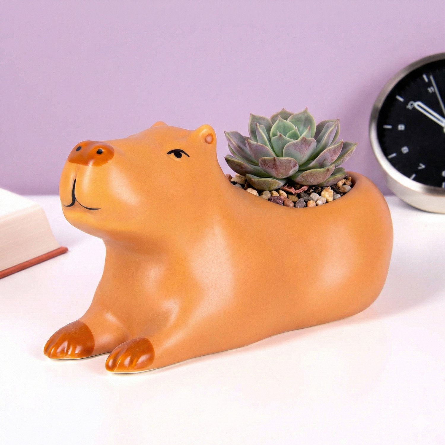 Capibara bloempot 1 Capibara bloempot