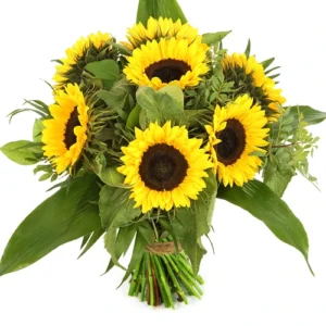 Bos zonnebloemen