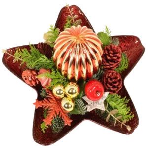 Ster kerststuk in rode glazen ster