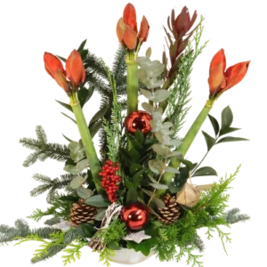 Kerststuk 3 Amaryllissen ca. 60 cm hoog