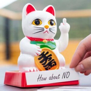 Chinese Gelukskat Cattitude