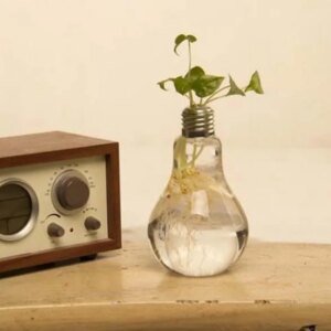 Gloeilamp Vaas (Set van 6)
