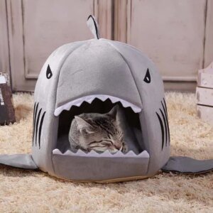 Haai Kattenmand