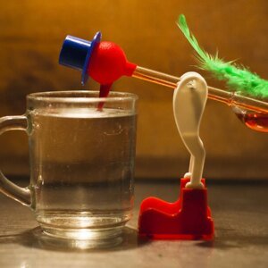 The Infamous Drinking Bird