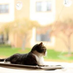 Kattenbed Voor Aan Het Raam