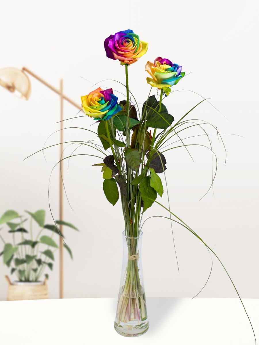 Drie regenboog rozen, inclusief vaasje 1 Drie regenboog rozen, inclusief vaasje