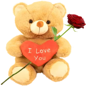 Bruine knuffelbeer ca. 30cm met rood I love you hart