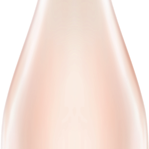 6 flessen VinTonic Rose (200ml)