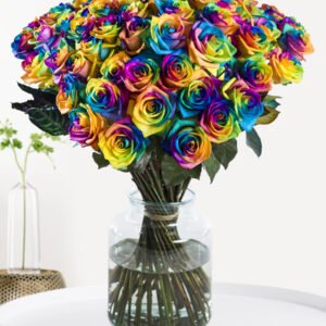 Regenboog rozen - XL rozen - 10 t/m 49 rozen