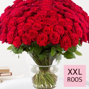 500 tot en met 1001 rode rozen - XXL rozen - Red Naomi