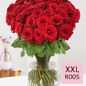 Rode rozen - XXL rozen 70 cm - 20 t/m 99 rozen - Red Bentley
